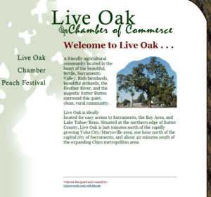 screenshot of Live Oak Chamber of Commerce web site